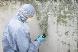 Best HVAC Mold Inspection and Cleaning  in Budd Lake, NJ